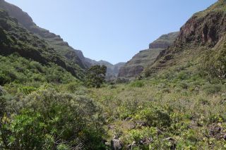 2019-03-GC-Cueva_Bermeja-15.JPG